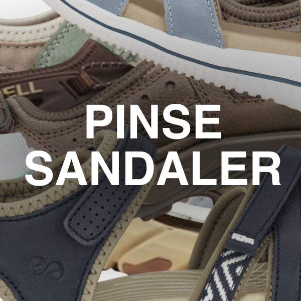 Pinse