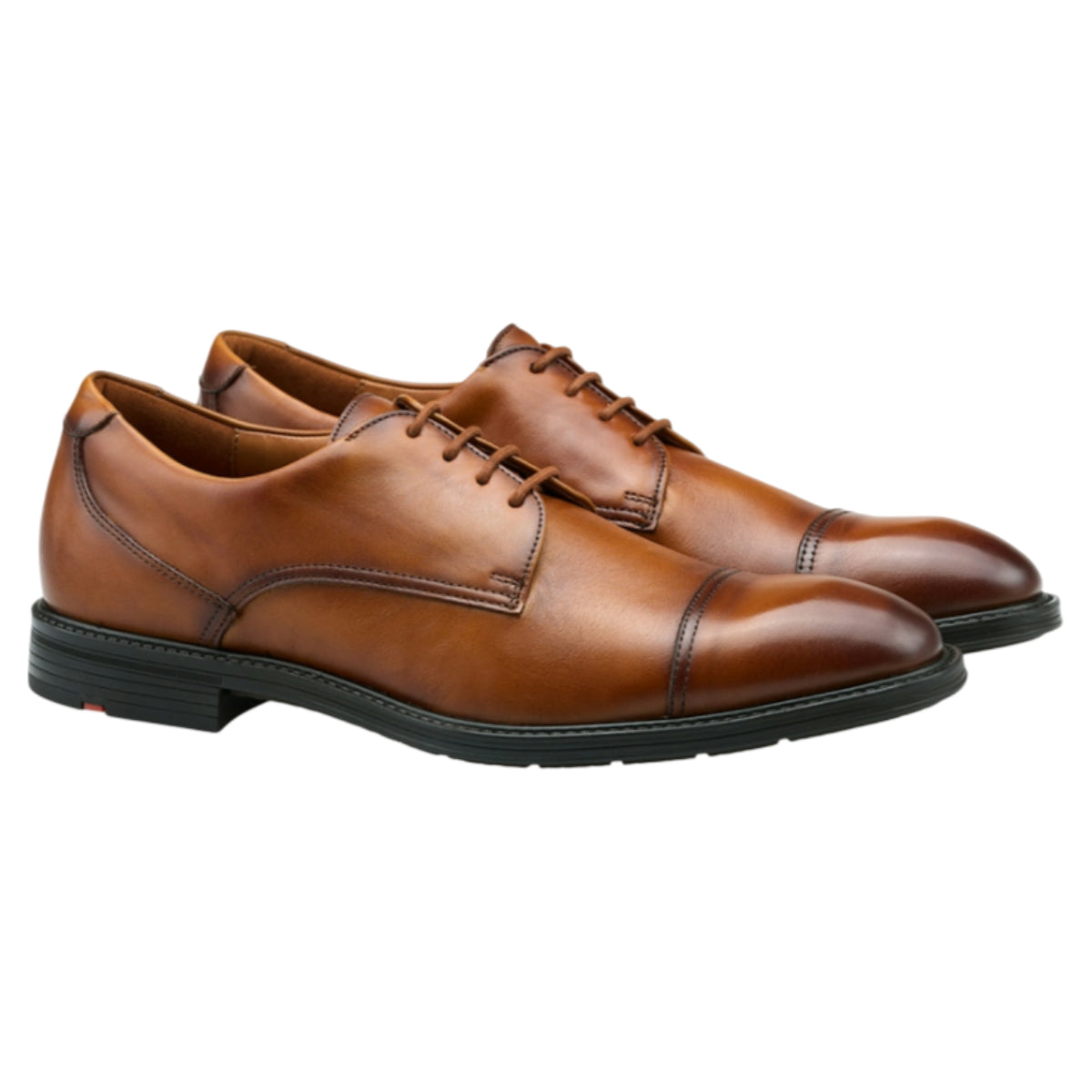 X-MOTION 150 business sko, herre, cognac