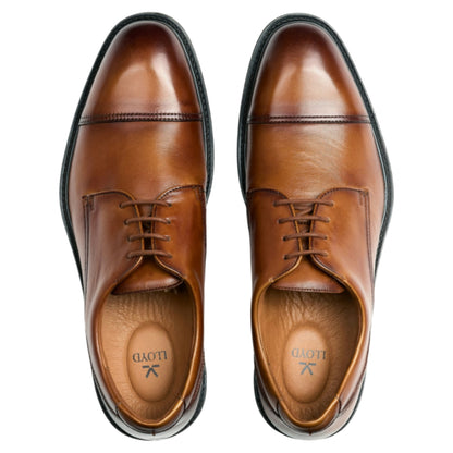 X-MOTION 150 business sko, herre, cognac