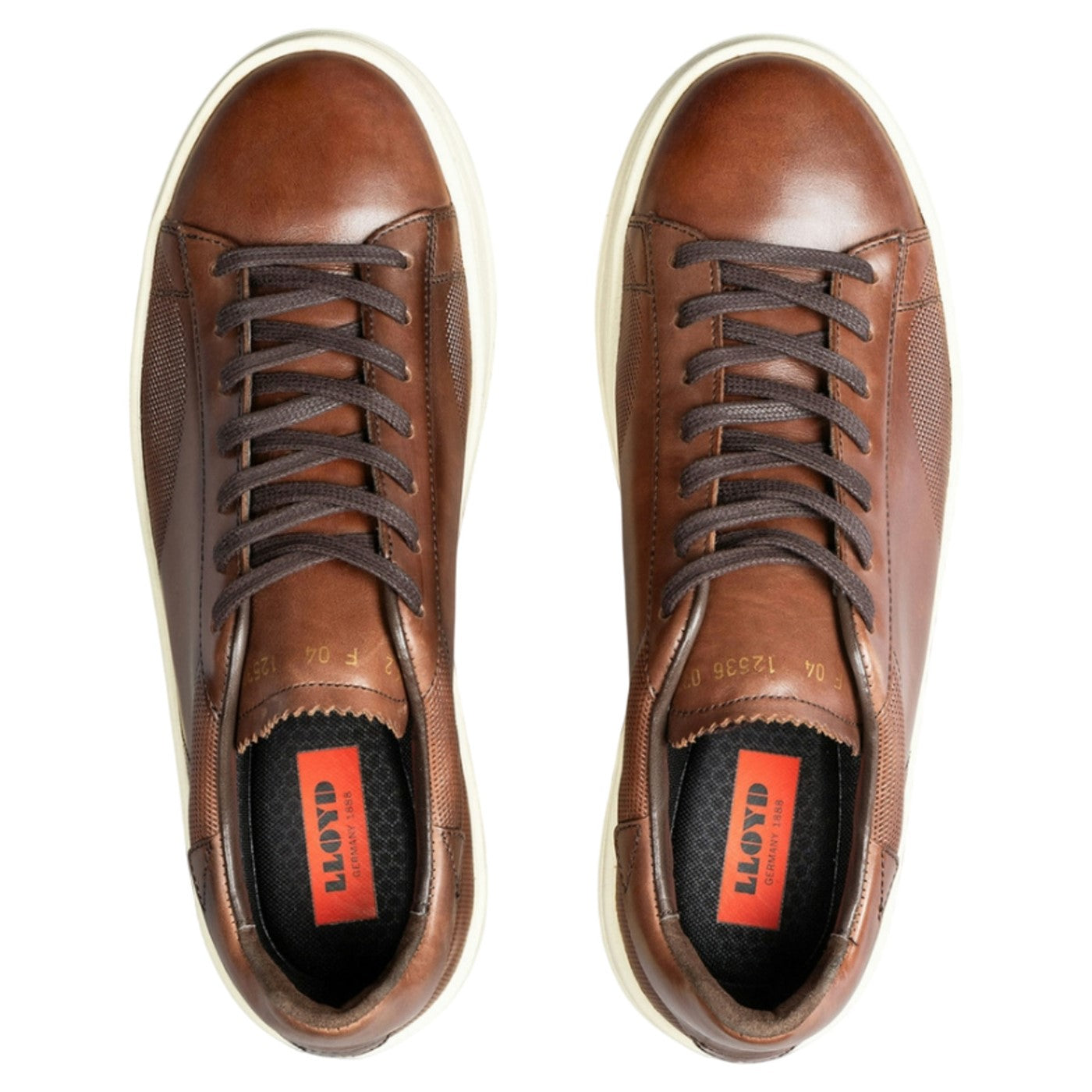 BLACKWELL Sneakers, herre, brun