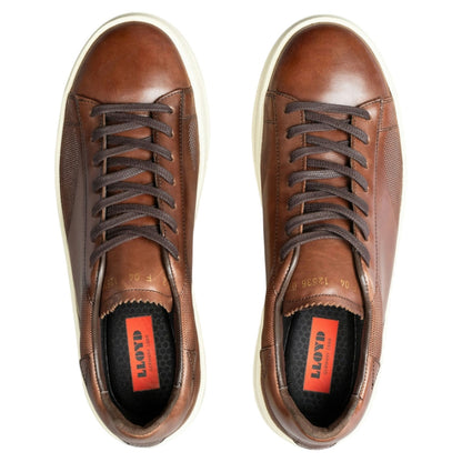 BLACKWELL Sneakers, herre, brun